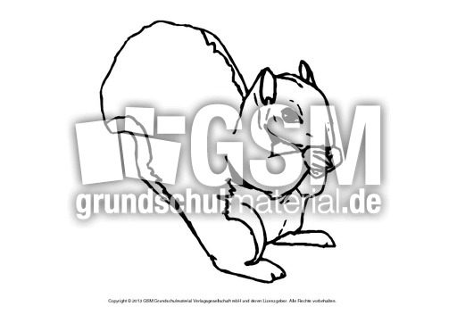 ausmalbilder a und b hörnchen ausmalbilder a und b hörnchen